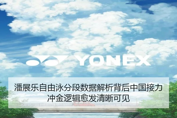 潘展乐自由泳分段数据解析背后中国接力冲金逻辑愈发清晰可见