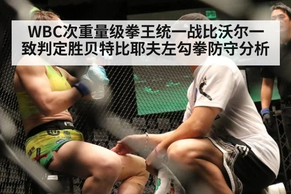WBC次重量级拳王统一战比沃尔一致判定胜贝特比耶夫左勾拳防守分析