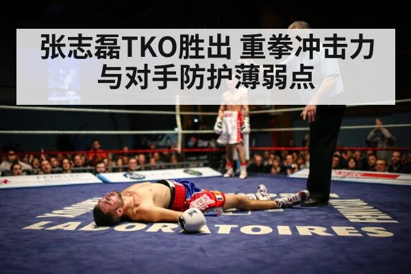 张志磊TKO胜出 重拳冲击力与对手防护薄弱点