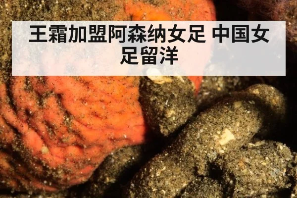 王霜加盟阿森纳女足 中国女足留洋