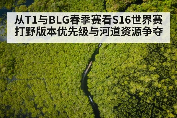 river jungle aerial